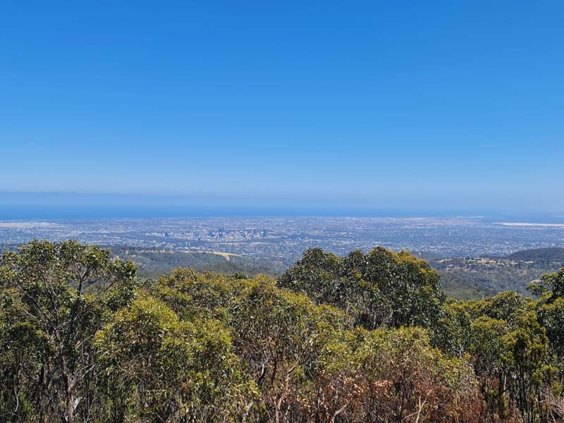 Mt Lofty